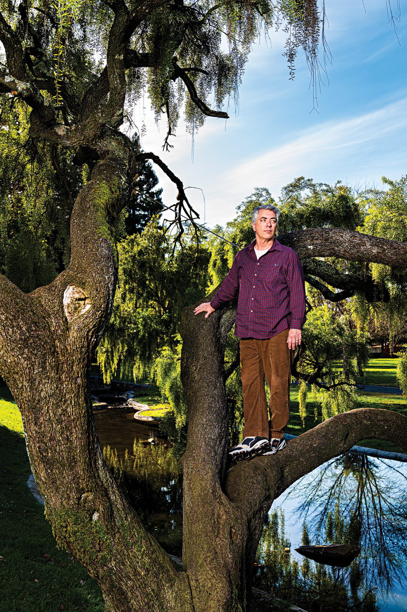 GREGORY McKENNA IN HIS NATURAL HABITAT, AT JULLIARD PARK IN SANTA ROSA.
