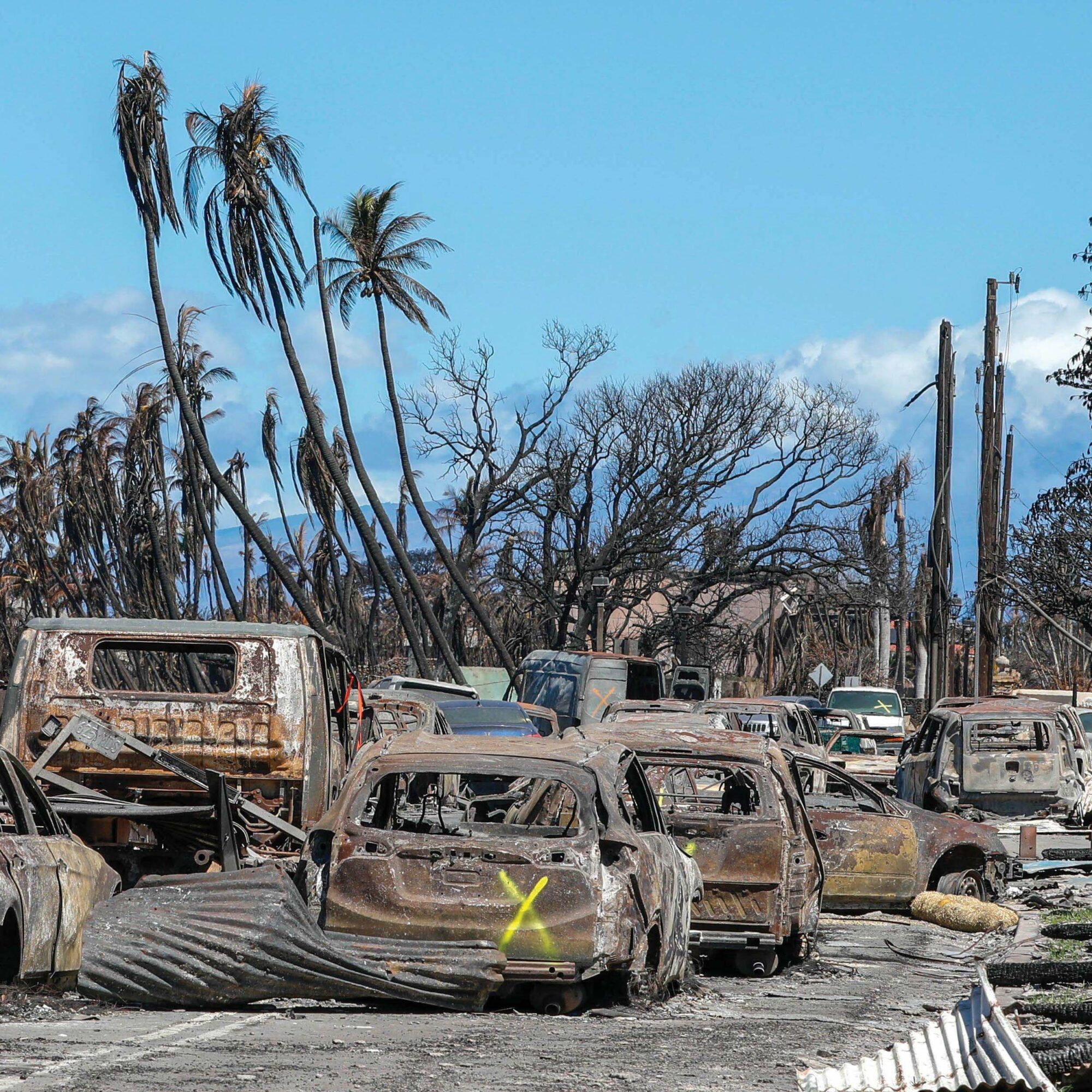 California Freemason Magazine: Hawaii Wildfire Masonic Relief. In the wake of the destructive Lahaina wildfire, Freemasons from around the world rallied to deliever Masonic relief to Hawaii.
