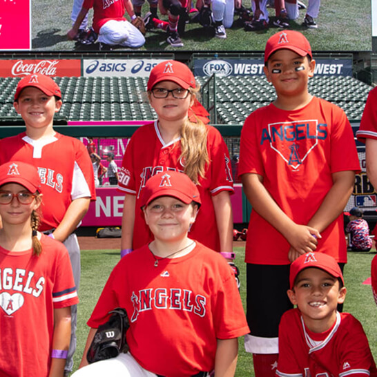 North County Bees